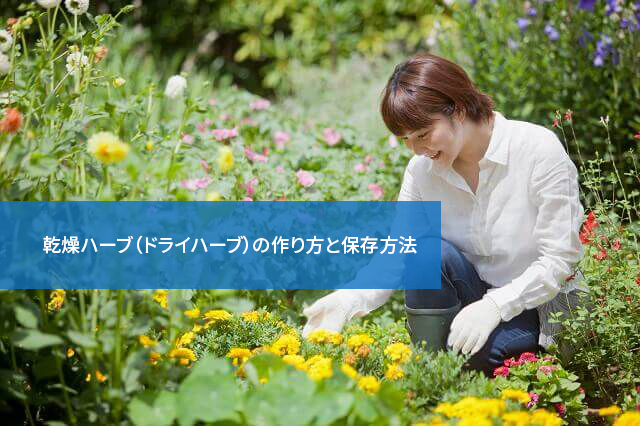 乾燥ハーブ(ドライハーブ)の作り方と保存方法