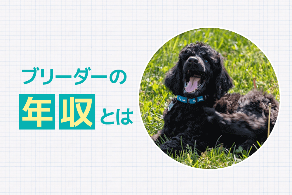 ここは気になる!ブリーダーの年収とは