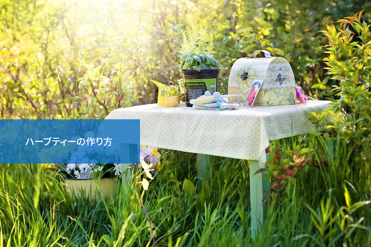 ポイントを押さえれば美味しくなる!ハーブティーの作り方