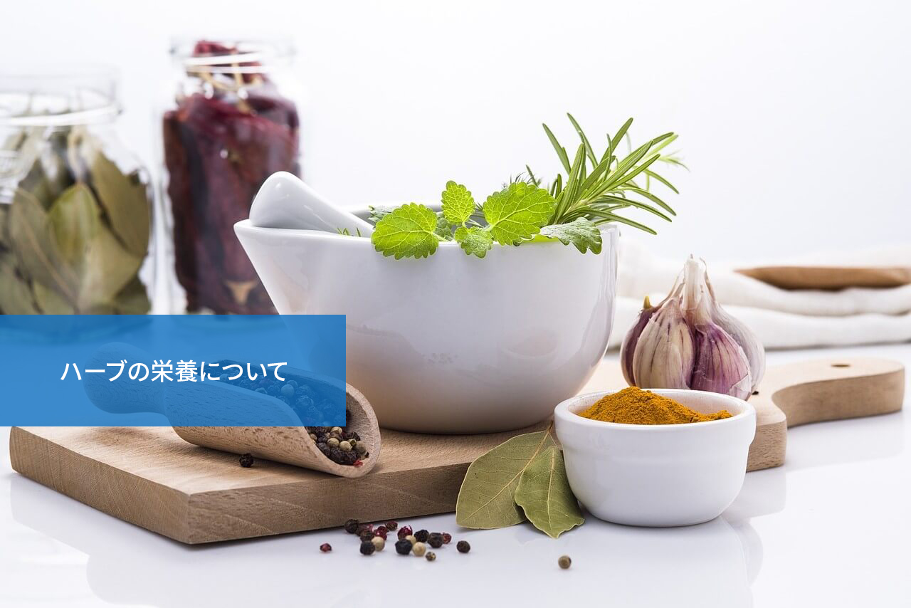意外に栄養豊富!ハーブの栄養について