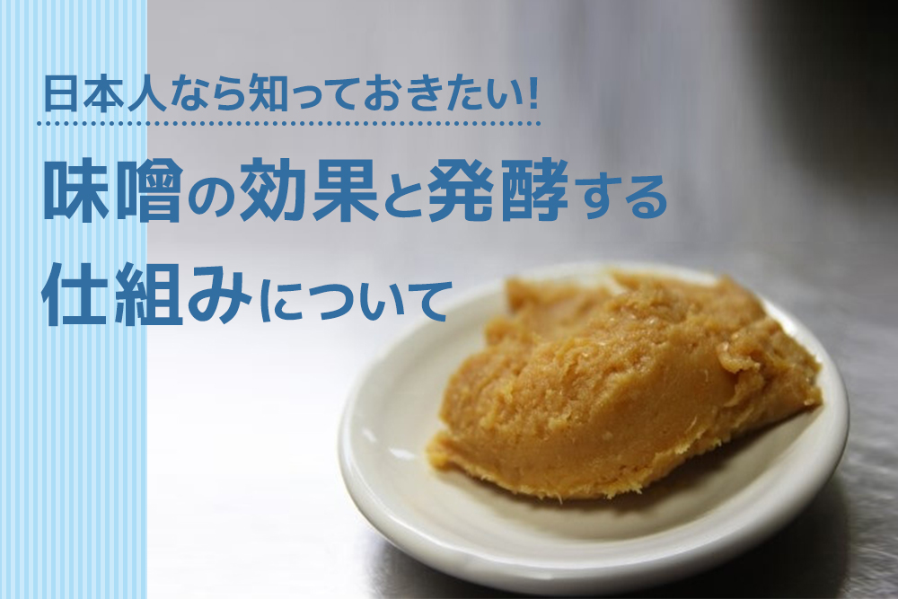 日本人なら知っておきたい!味噌の効果と発酵する仕組みについて