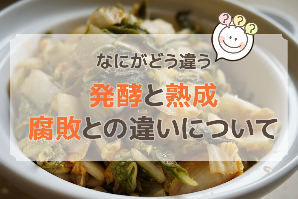 なにがどう違う?発酵と熟成、腐敗との違いについて