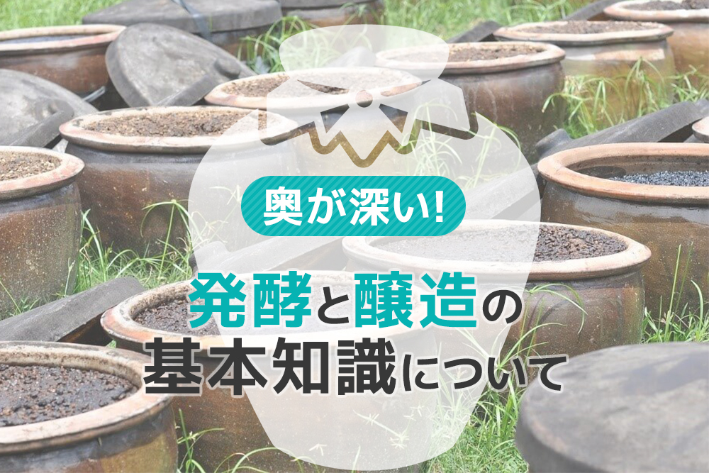 奥が深い!発酵と醸造の基本知識について