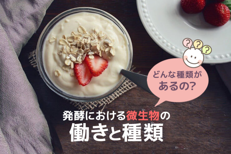 どんな種類があるの?発酵における微生物の働きと種類
