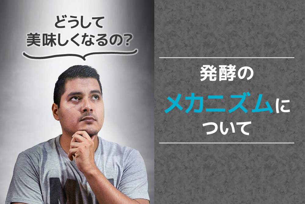 どうして美味しくなるの?発酵のメカニズムについて