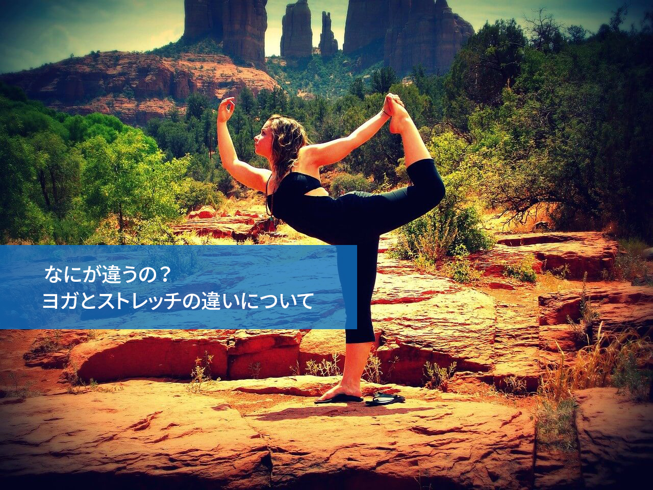 なにが違うの?ヨガとストレッチの違いについて