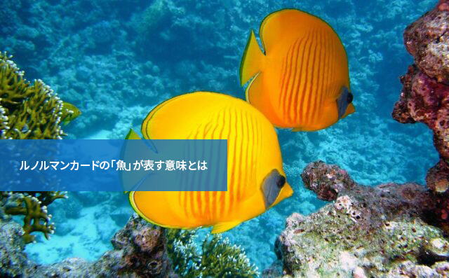 これは吉兆?凶兆?ルノルマンカードの「魚」が表す意味とは