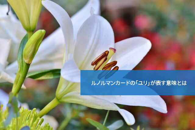 幸運?不運?ルノルマンカードの「ユリ」が表す意味とは