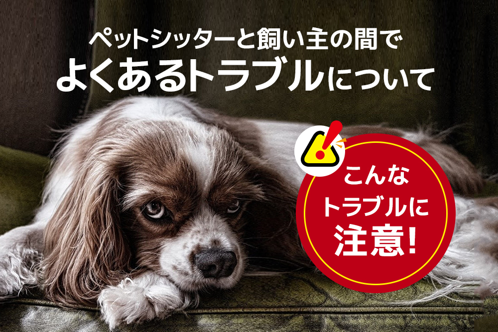 こんなトラブルに注意!ペットシッターと飼い主の間でよくあるトラブルについて