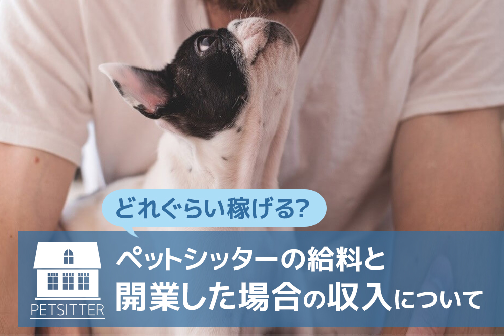 どれぐらい稼げる?ペットシッターの給料と開業した場合の収入について