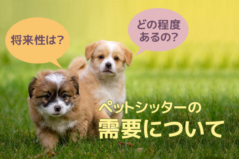 どの程度あるの?将来性は?ペットシッターの需要について