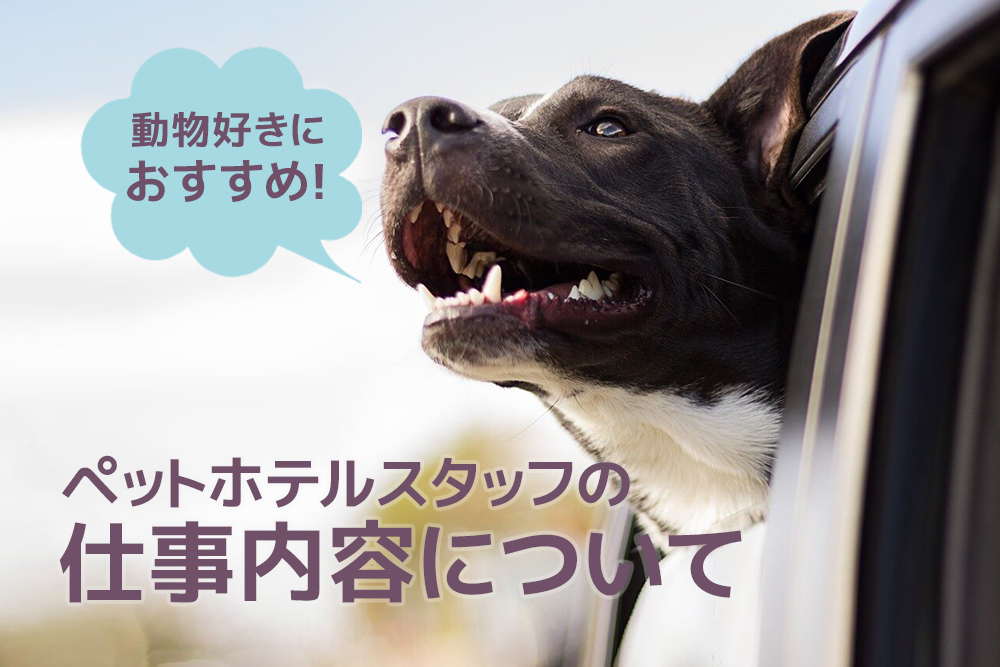 動物好きにおすすめ!ペットホテルスタッフの仕事内容について
