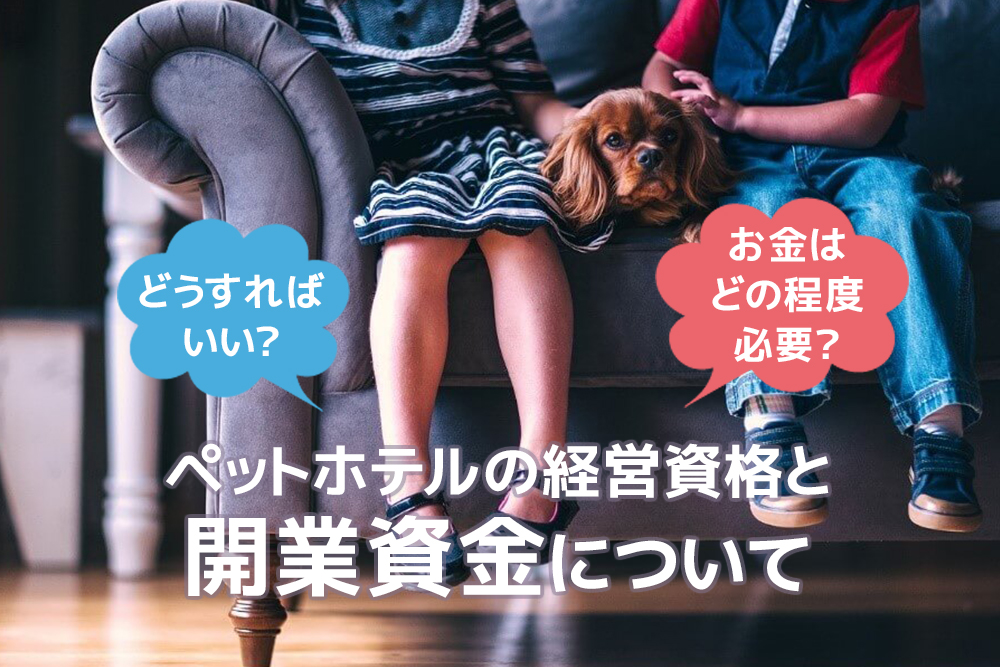 どうすればいい?お金はどの程度必要?ペットホテルの経営資格と開業資金について
