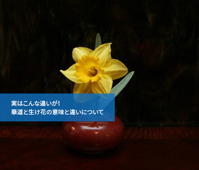 実はこんな違いが!華道と生け花の意味と違いについて