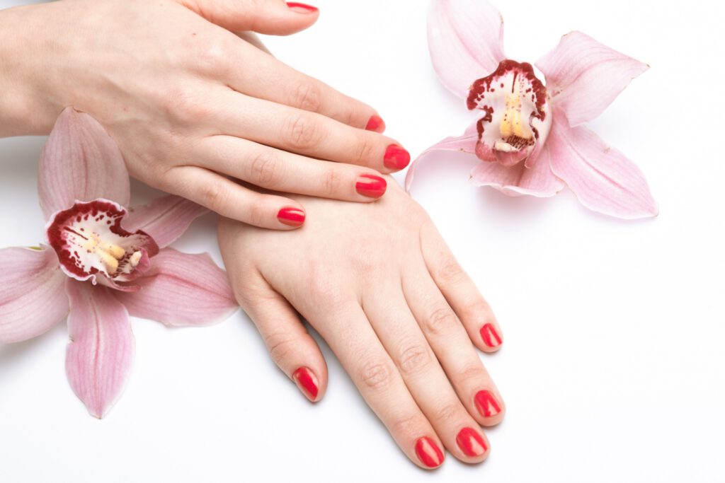 スペシャル講座なら100%資格取得できます