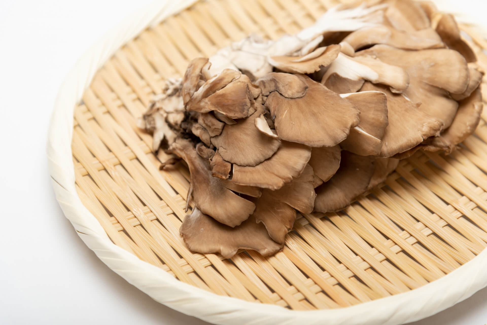 きのこソムリエ資格試験概要