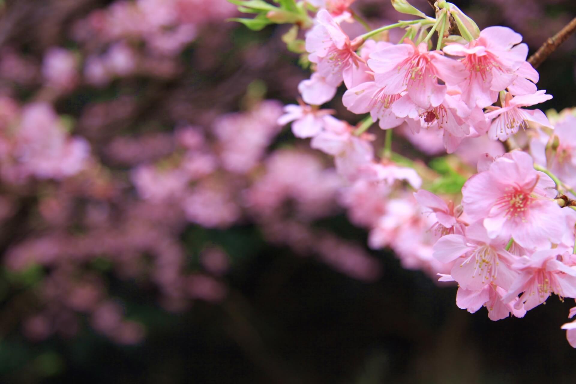 四季ソムリエ®資格試験概要