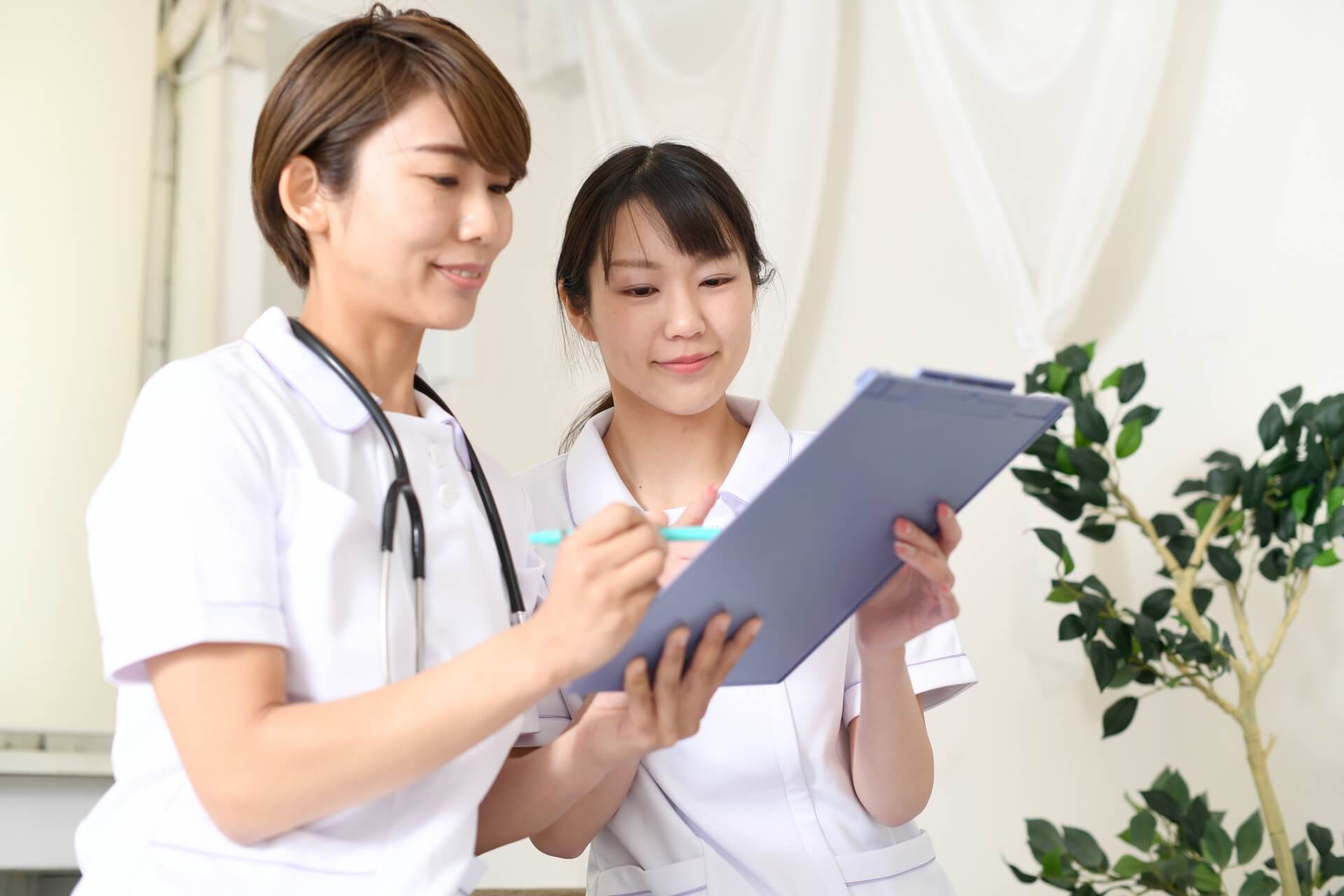 整体セラピスト資格試験概要