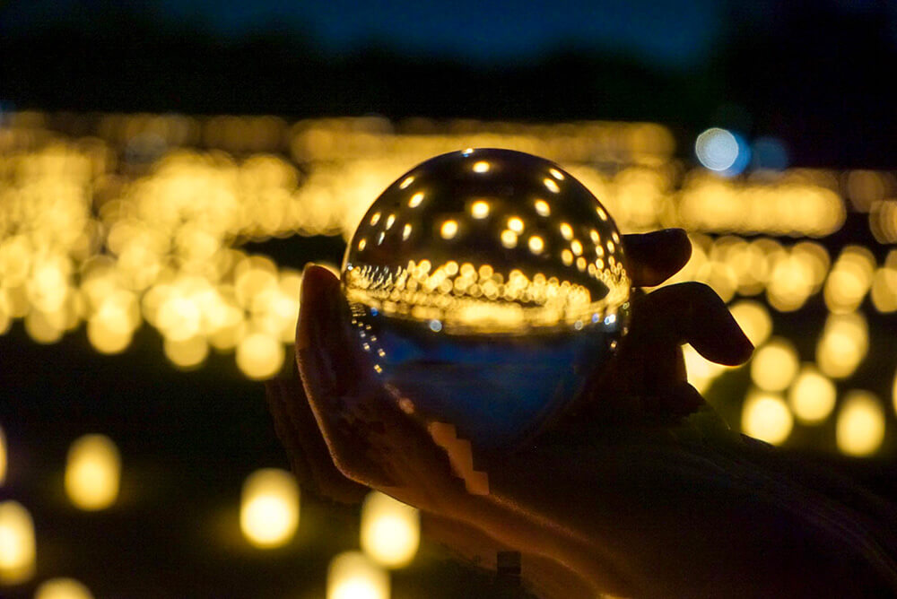 スペシャル講座なら100%資格取得できます