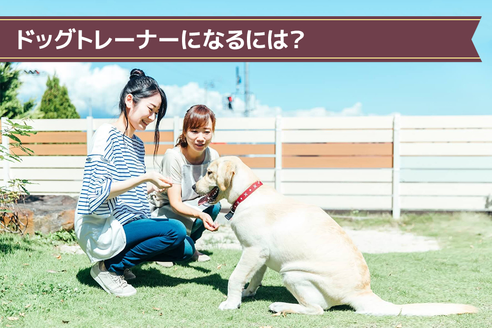 ドッグトレーナーになるには？