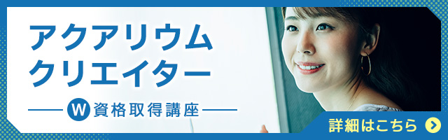 アクアリウムクリエイター