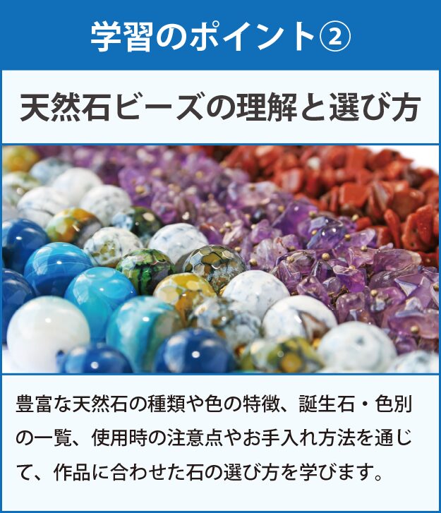 学習のポイント