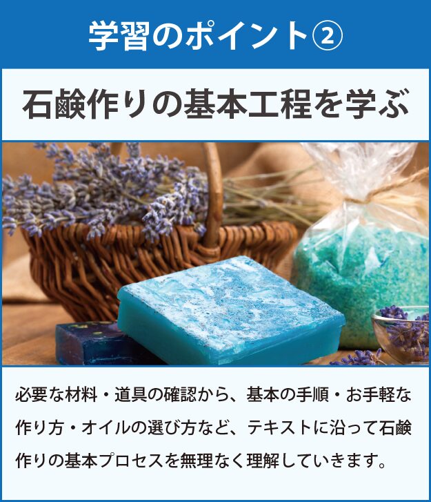 学習のポイント