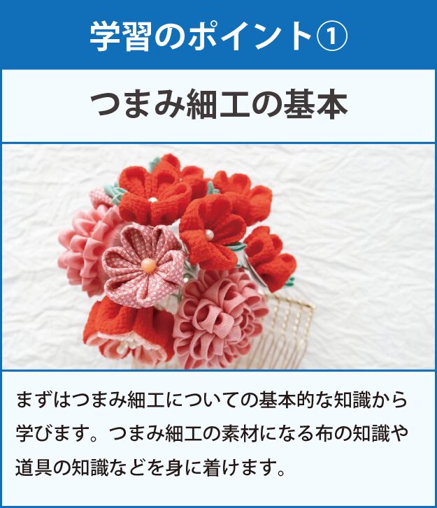 学習のポイント