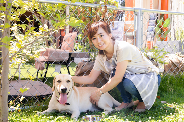 犬・猫ペットブリーダー