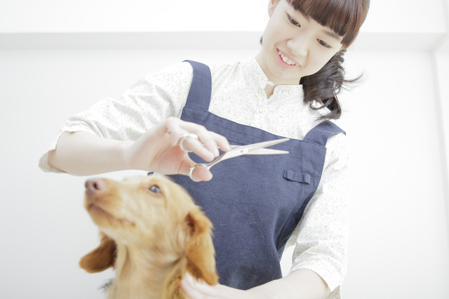 ペットトリミングアドバイザー®