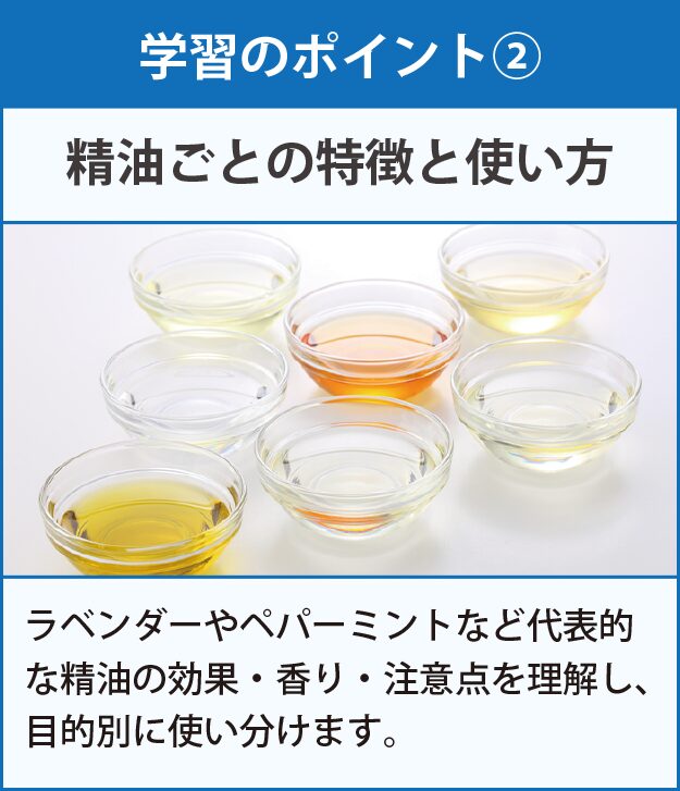 学習のポイント