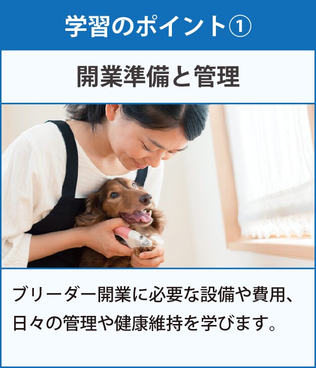 学習のポイント