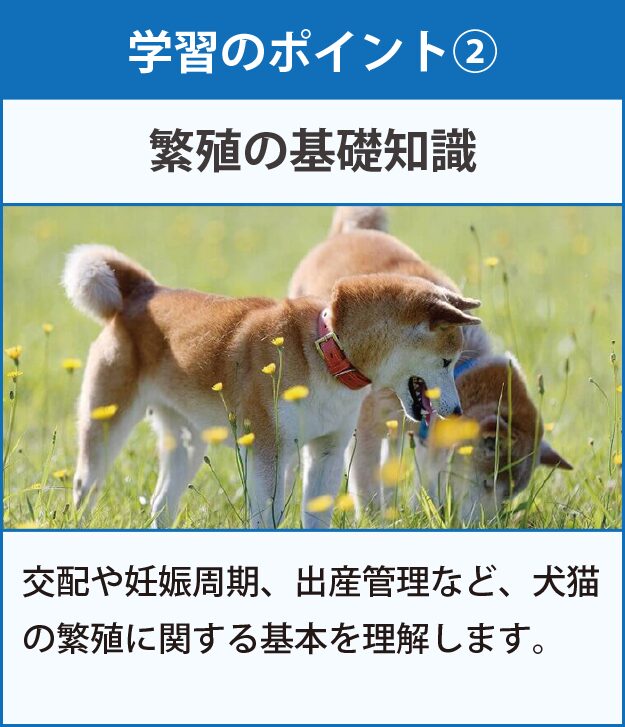 学習のポイント