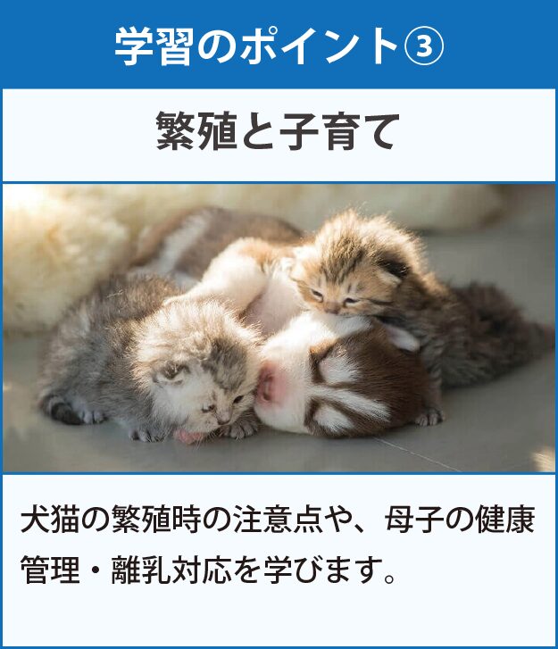 学習のポイント