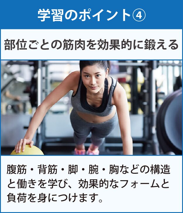 学習のポイント
