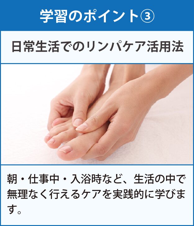 学習のポイント