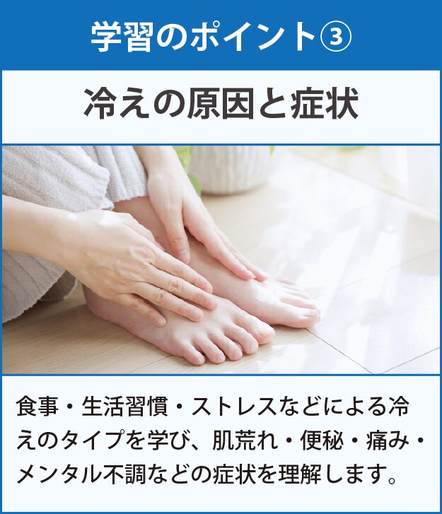 学習のポイント